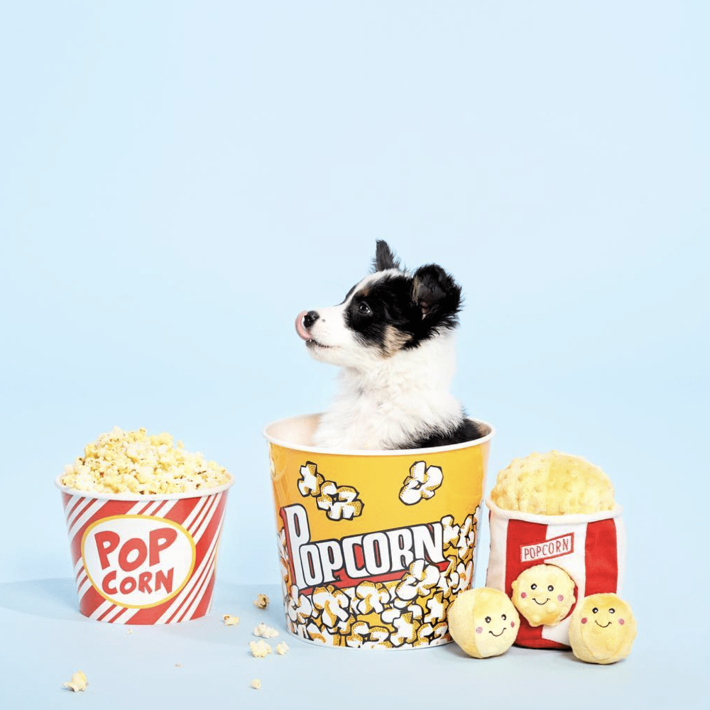peluche pour chiot popcorn