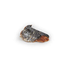 peau de saumon pour chien