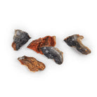 morceaux de saumon sauvage pour chien