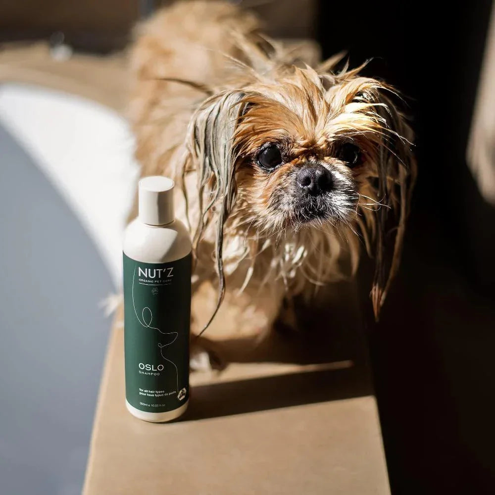 shampoing pour chien nutz oslo